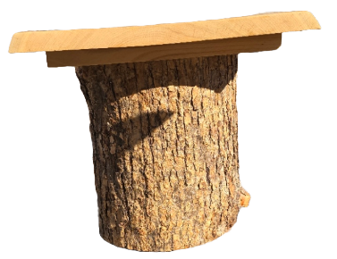 JB - Bench with wood slab supports