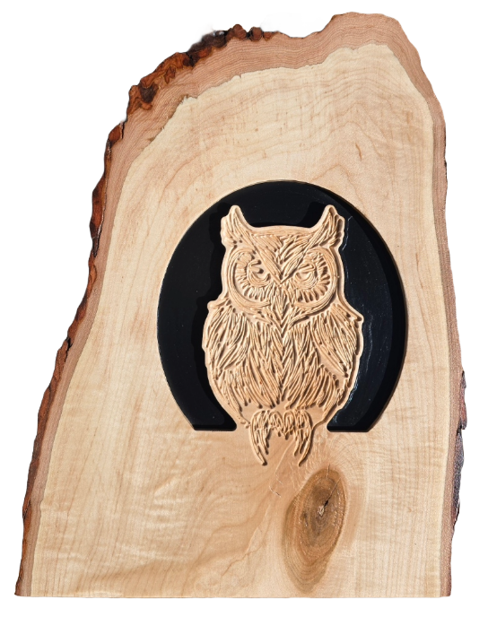 JB - signs - Owl on live edge wood